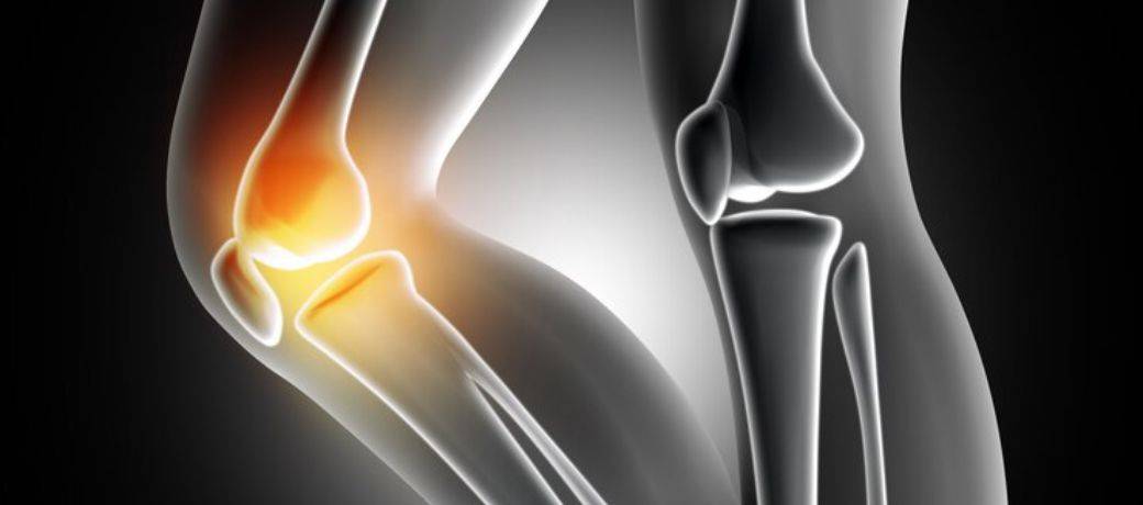 Rahasia Pola Makan Sehat untuk Menjaga Sendi Tetap Kuat dan Fleksibel